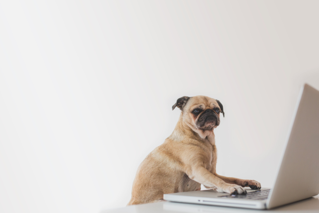 Online business from home
